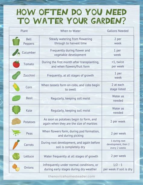 vegetable soil moisture requirements